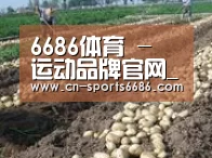 种植基地八