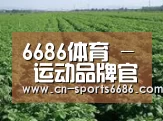 种植基地五