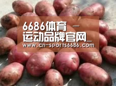 产品展示标题5