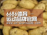 产品展示标题6