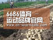 种植基地七(图1)