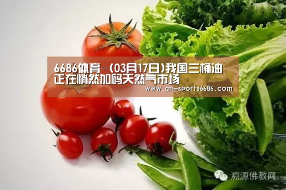 6686体育-(03月17日)我国三桶油正在悄然加码天然气市场(图1) 6686体育-(03月17日)我国三桶油正在悄然加码天然气市场(图1)